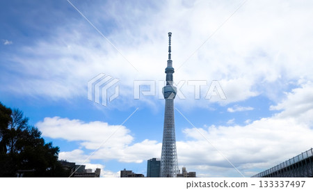 Tokyo Skytree and blue sky, Sumida Ward, Tokyo 133337497