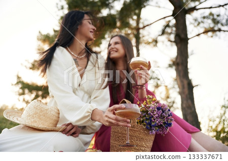 Lesbian couple is together on the picnic in nature Lesbian couple is together on the picnic in nature 133337671