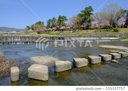 Kamo River and stepping stones in Kitayama, Kyoto Kamo River and stepping stones in Kitayama, Kyoto 133337757