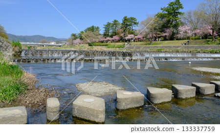 京都北山市鴨川及踏腳石 京都北山市鴨川及踏腳石 133337759