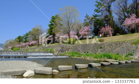 Kamo River and stepping stones in Kitayama, Kyoto Kamo River and stepping stones in Kitayama, Kyoto 133337761