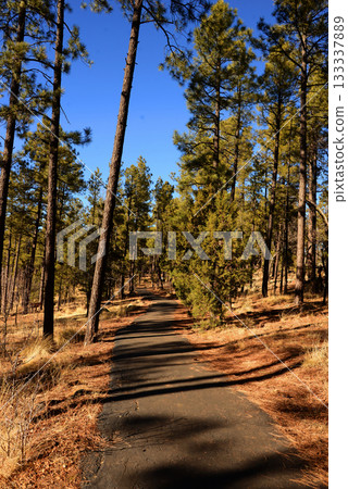 Trail Lake of the Woods Arizona 133337889