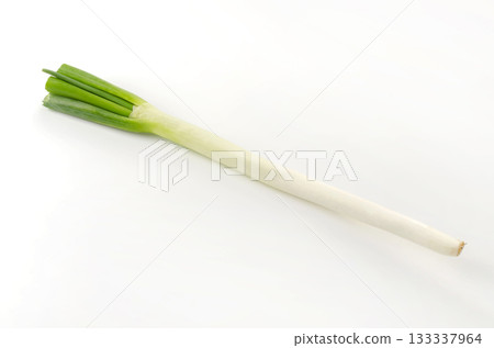 新鮮的韭菜 133337964