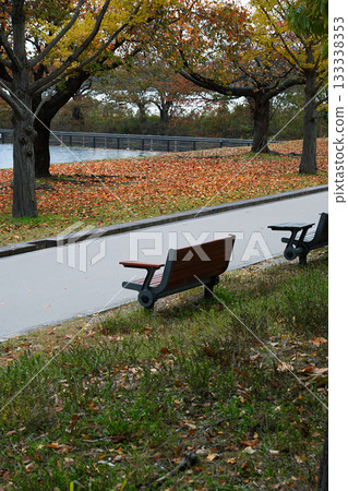秋季海濱長廊上的靜謐休憩區 133338353