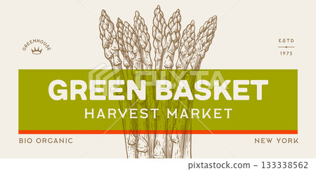 Asparagus, vegetable. Tag, label, sign, vintage retro print, black white asparagus drawing, sketch ink pencil draw, engrave old school style. Sketch artwork silhouette asparagus. Vector Illustration 133338562