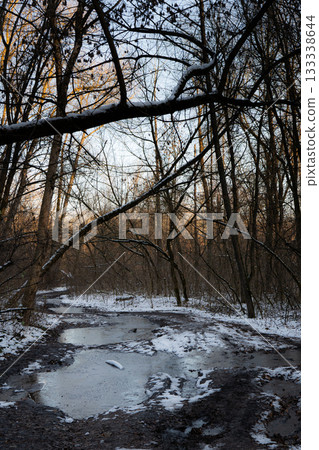 Snowy Forest Path with Muddy Puddles 133338644