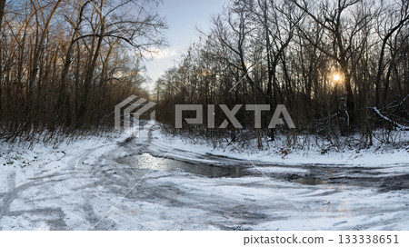 Frozen Forest Path in Winter Sunset Light Frozen Forest Path in Winter Sunset Light 133338651