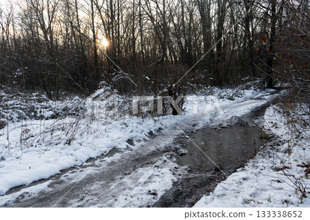 Sunlit Winter Forest Path with Reflection 133338652