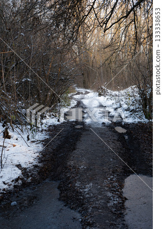 Snowy Forest Path with Muddy Puddles 133338653