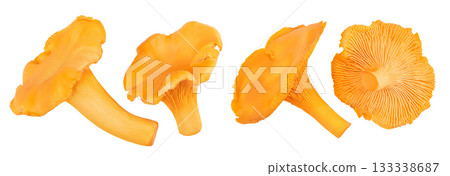 Chanterelle mushroom isolated on a white background. Top view. Flat lay 133338687