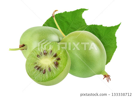 mini kiwi baby fruit or actinidia arguta isolated on white background with full depth of field. 133338712