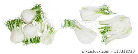 fresh fennel bulb isolated on white background with full depth of field. Top view. Flat lay 133338720