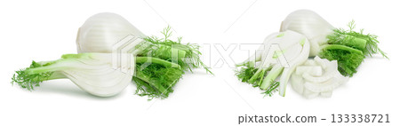 fresh fennel bulb with slice isolated on white background with full depth of field fresh fennel bulb with slice isolated on white background with full depth of field 133338721