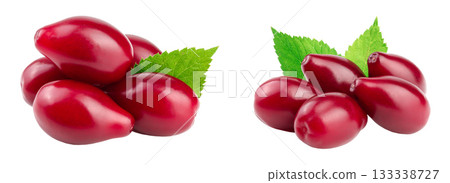 Red berries of cornel or dogwood with leaf isolated on white background 133338727