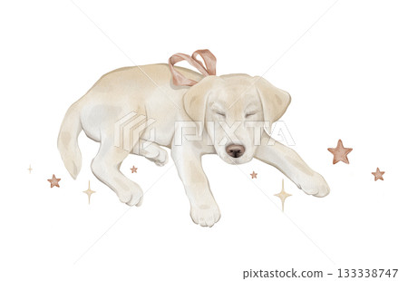 Composition with stars and character beige yellow puppy dog isolated on background. Hand drawn illustration sketch Labrador sleeping and a red bow around his neck. 133338747