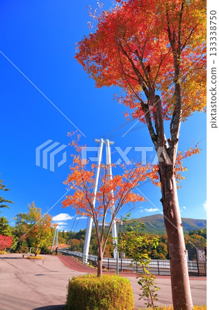 【大分縣】九重夢大吊橋與晴天的紅葉 133338750