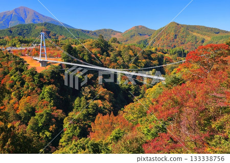[Oita Prefecture] Kokonoe Yume Otsuribashi Suspension Bridge and autumn leaves on a clear day 133338756