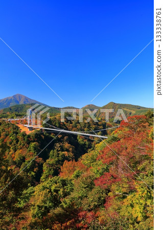 【大分縣】九重夢大吊橋與晴天的紅葉 133338761