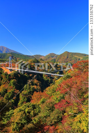 [Oita Prefecture] Kokonoe Yume Otsuribashi Suspension Bridge and autumn leaves on a clear day 133338762