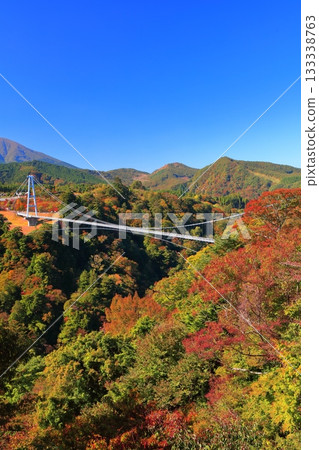 [Oita Prefecture] Kokonoe Yume Otsuribashi Suspension Bridge and autumn leaves on a clear day 133338763
