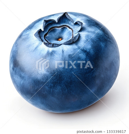 A single perfect ripe blueberry with detailed texture and a characteristic crown on a pure white background A single perfect ripe blueberry with detailed texture and a characteristic crown on a pure white background 133339817
