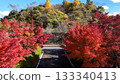 這是用無人機拍攝的千葉縣富津市紅葉路上的秋葉鳥瞰圖。 133340413
