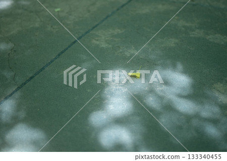 美麗的陽光 美麗的陽光 133340455