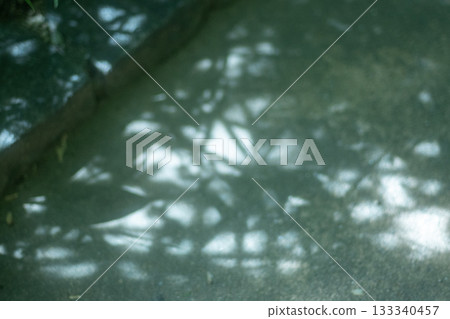 美麗的陽光 美麗的陽光 133340457