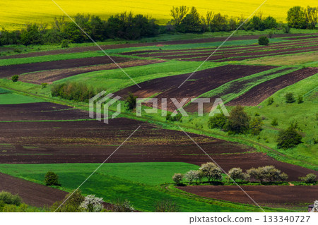 Vibrant agricultural landscape showcasing lush green fields and rich brown soil under a bright yellow horizon during springtime Vibrant agricultural landscape showcasing lush green fields and rich brown soil under a bright yellow horizon during springtime 133340727