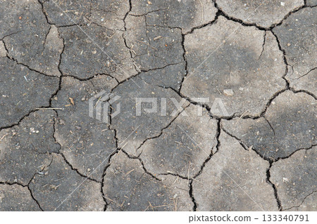 Drought-affected land shows cracked dry earth with visible texture and desolation under harsh sunlight in a rural area during summer months 133340791