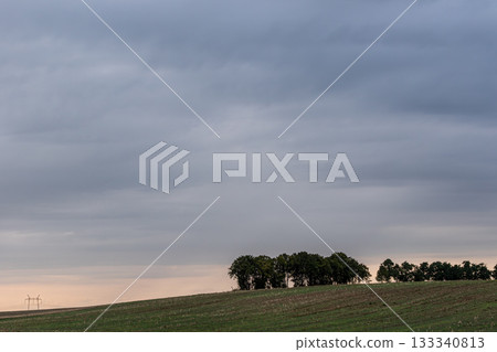 Expansive field under cloudy skies at dusk with a grove of trees on the horizon near a wind farm 133340813