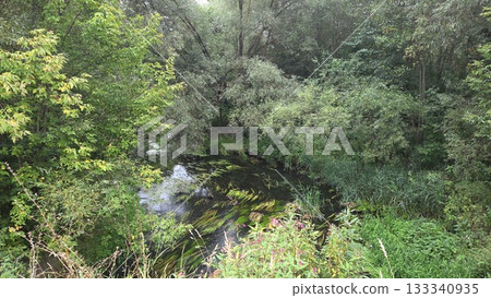 Lush greenery and tranquil river scene in Pavlovsky Posad, Russia 133340935