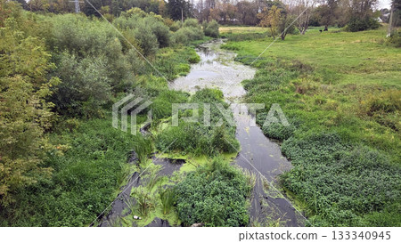Serene green landscape with lush vegetation and stream for nature inspiration 133340945