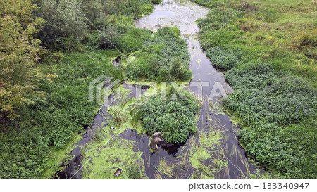 Serene wetland landscape with lush greenery and calm water flow. River Vokhna in Moscow region, Russia 133340947