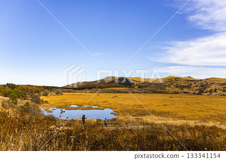 Yashima Marsh in Autumn, Shimo-Suwa Town 133341154
