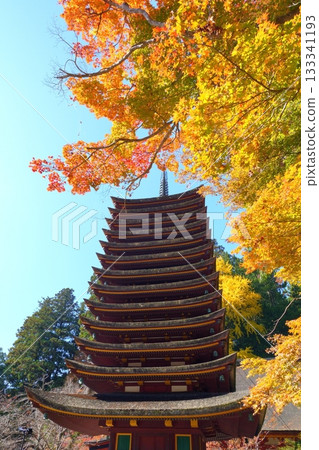 從下方仰望,奈良縣櫻井市丹山神社的十三層寶塔與秋葉交相輝映,四周環繞著落葉。 從下方仰望,奈良縣櫻井市丹山神社的十三層寶塔與秋葉交相輝映,四周環繞著落葉。 133341193