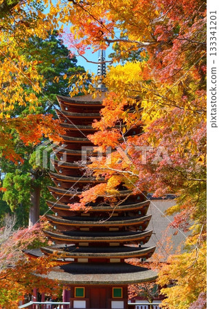 The thirteen-story pagoda at Tanzan Shrine in Sakurai City, Nara Prefecture, surrounded by autumn leaves, with a yellow ginkgo tree in the background 133341201