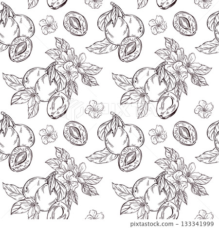 Seamless vector pattern of plums, prunes, leaves and flowers of fruit trees. All objects are hand-drawn. The illustration is perfect for printing on fabric, for packaging dried fruits. Seamless vector pattern of plums, prunes, leaves and flowers of fruit trees. All objects are hand-drawn. The illustration is perfect for printing on fabric, for packaging dried fruits. 133341999