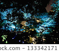 日比谷公園燈光秀 133342171