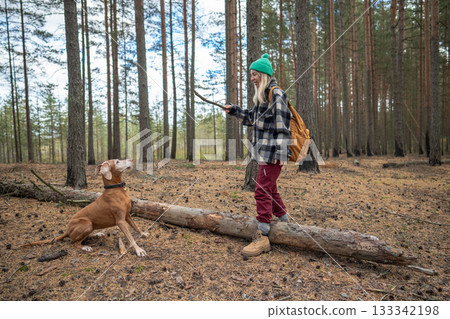 Playful Hungarian Vizsla dog waitsing for stick throw in forest clearing, autumn game with woman 133342198