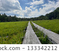 Wooden road hiking Wooden road hiking 133342212