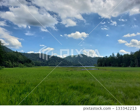 Green earth and blue sky 133342213