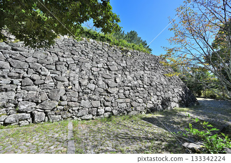 Iga Ueno Castle: Castle tower and high stone walls 133342224