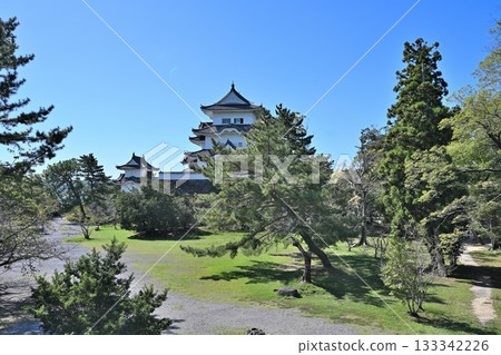 Iga Ueno Castle: Castle tower and high stone walls 133342226