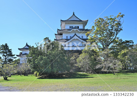 Iga Ueno Castle: Castle tower and high stone walls 133342230