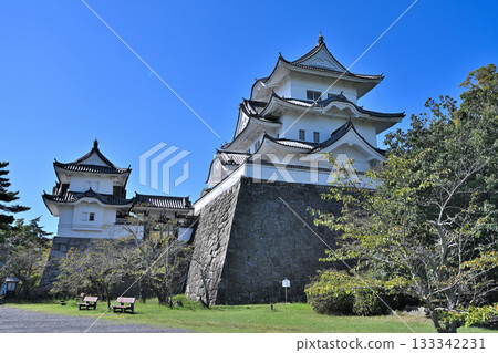 Iga Ueno Castle: Castle tower and high stone walls 133342231