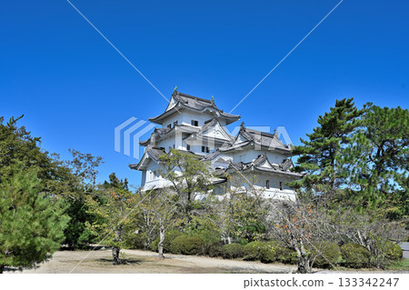 Iga Ueno Castle: Castle tower and high stone walls Iga Ueno Castle: Castle tower and high stone walls 133342247