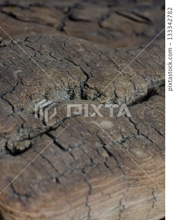 Gnarled Weathered Wood Texture Close-Up 133342782