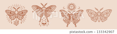 Celestial boho moths in mystic brown line art style 133342907