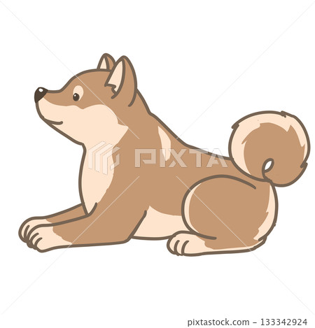 一幅柴犬躺臥的簡單插圖 133342924